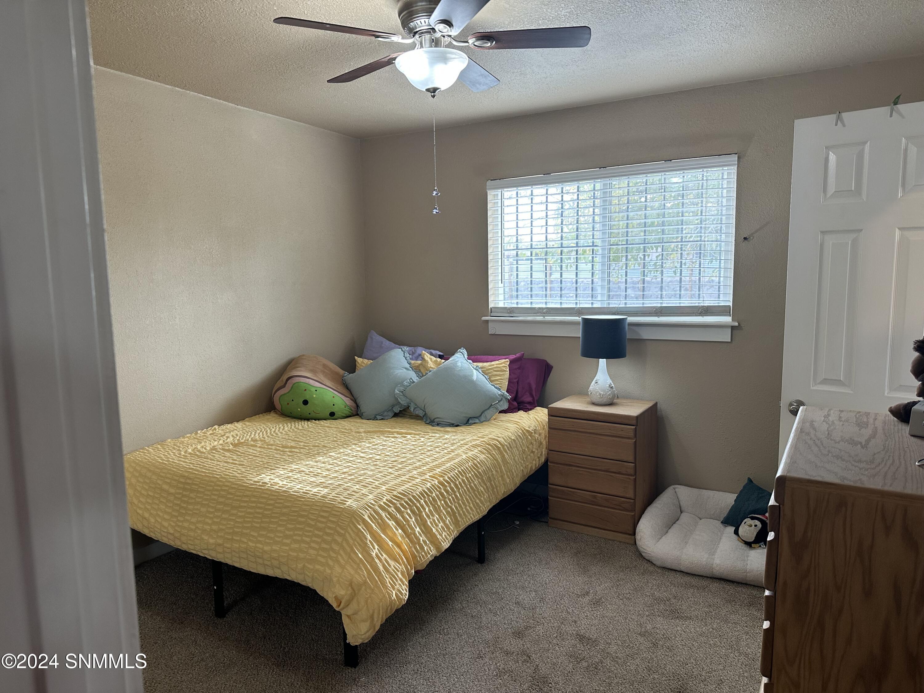 1320 Juniper Ave, Las Cruces, New Mexico image 21