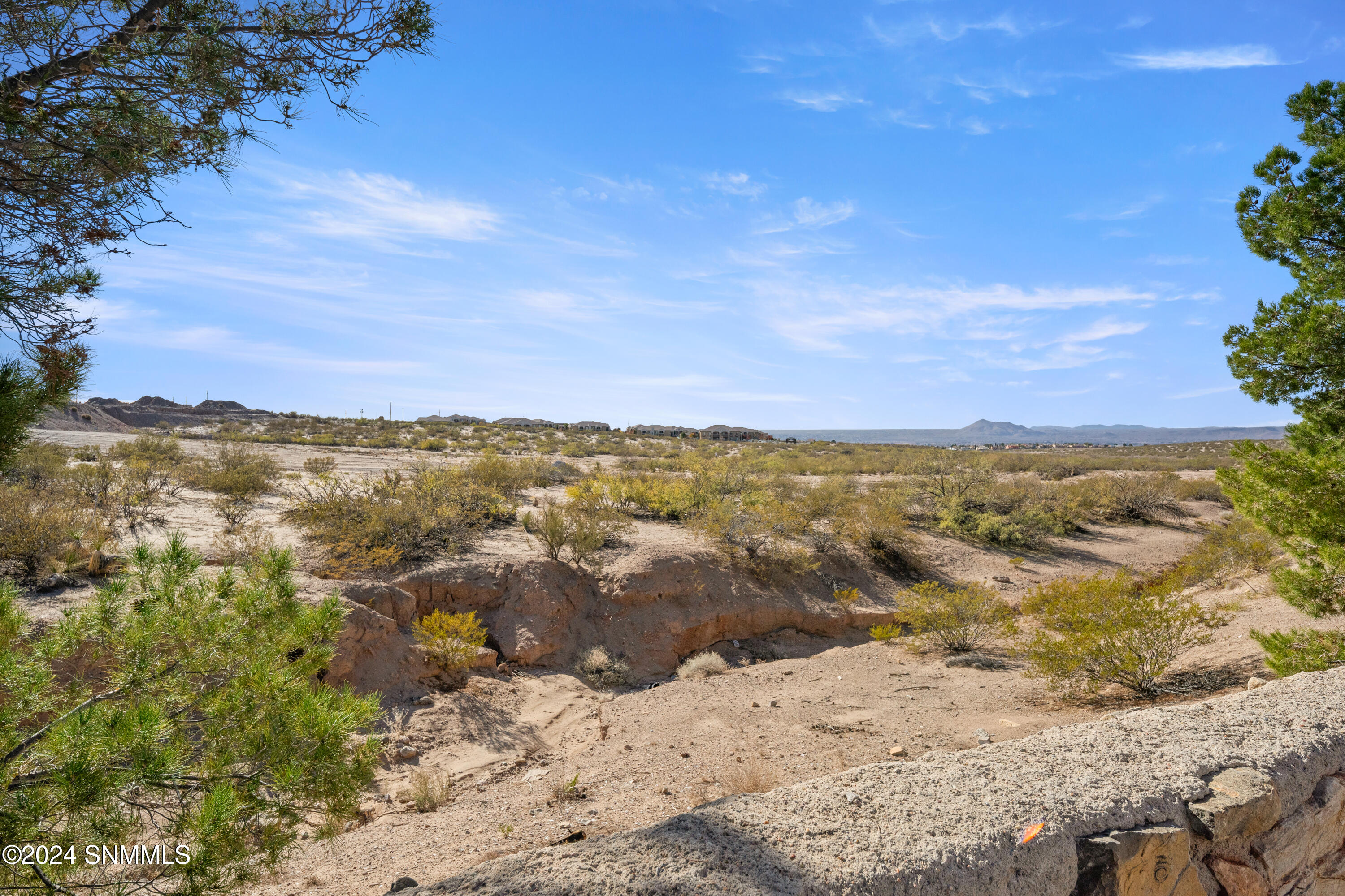 3509 Chacoma Court, Las Cruces, New Mexico image 39