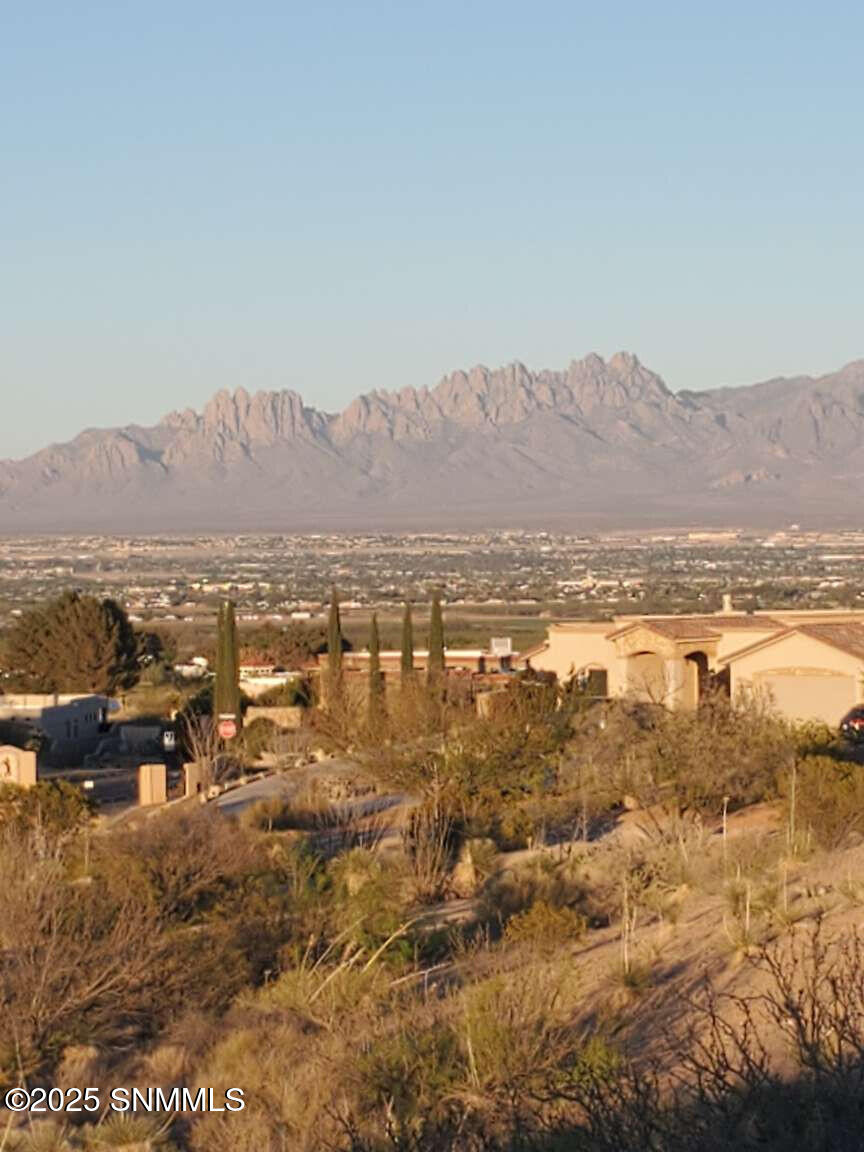 8025 Renoir Loop, Las Cruces, New Mexico image 1