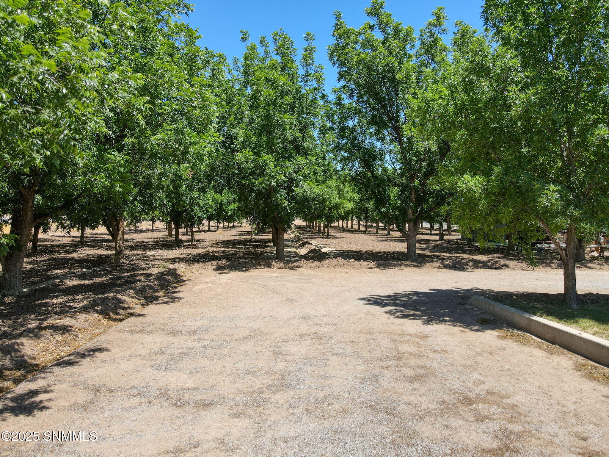 3410 Shalem Colony Trail, Las Cruces, New York image 25