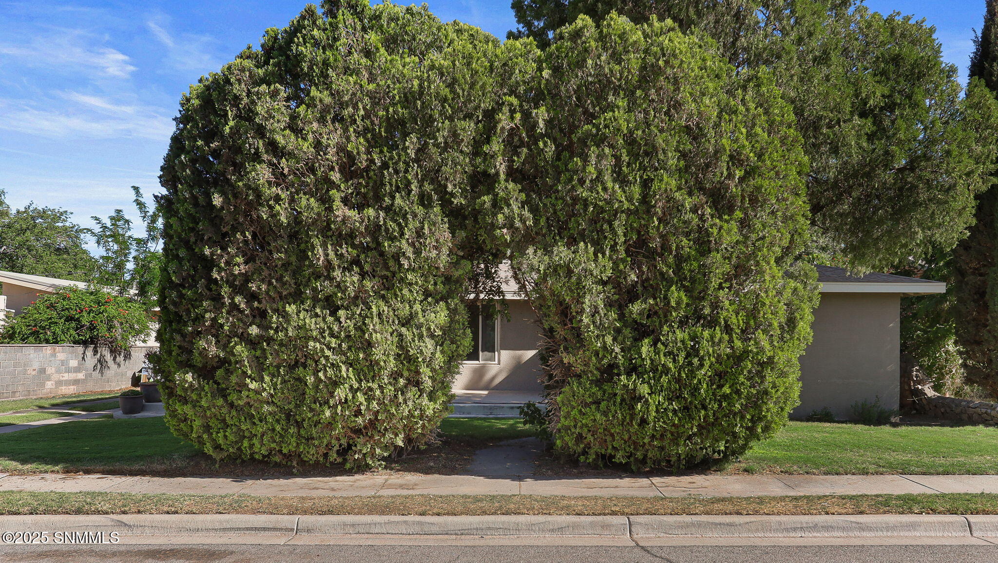 341 Linda Vista Road, Las Cruces, New Mexico image 46