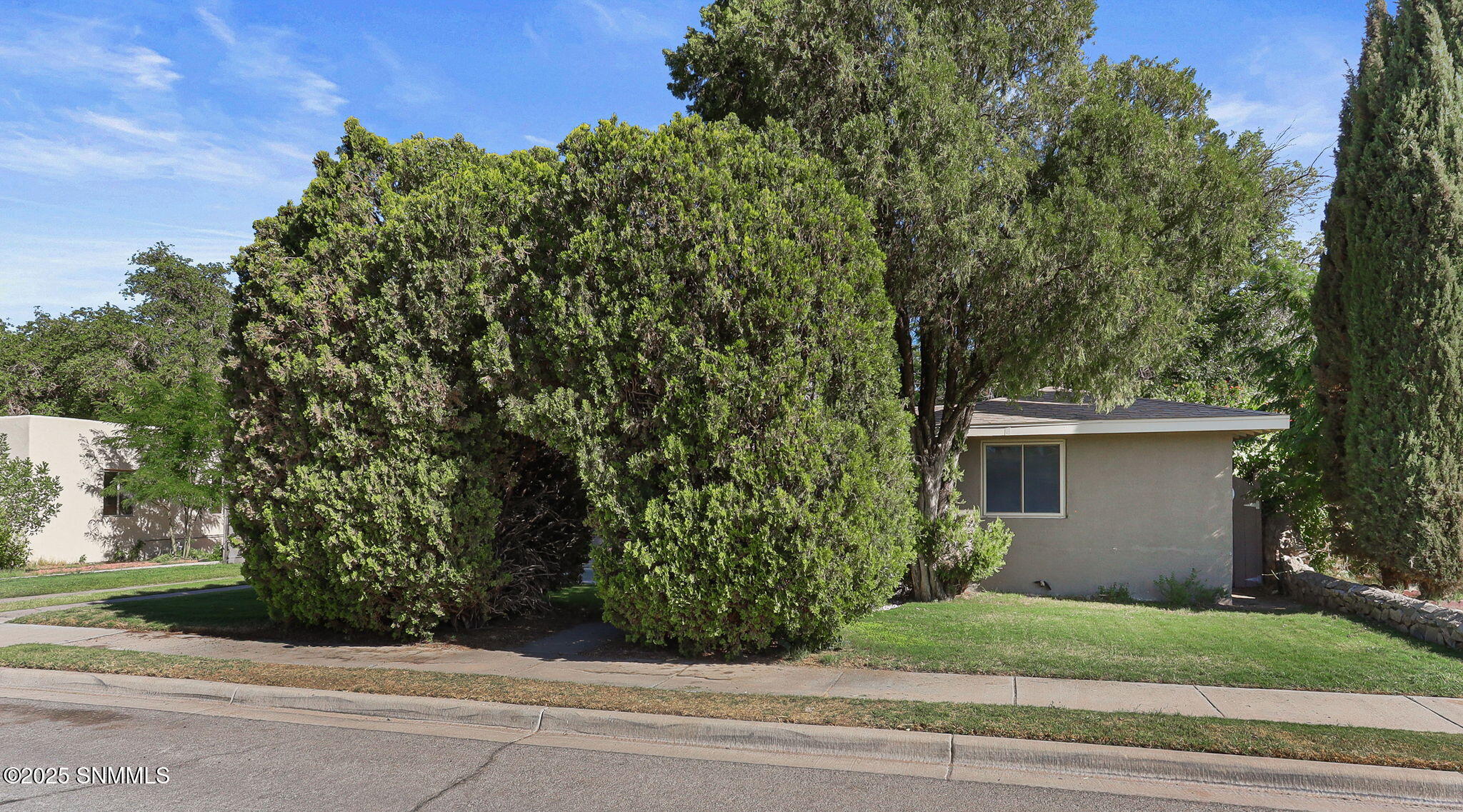 341 Linda Vista Road, Las Cruces, New Mexico image 43