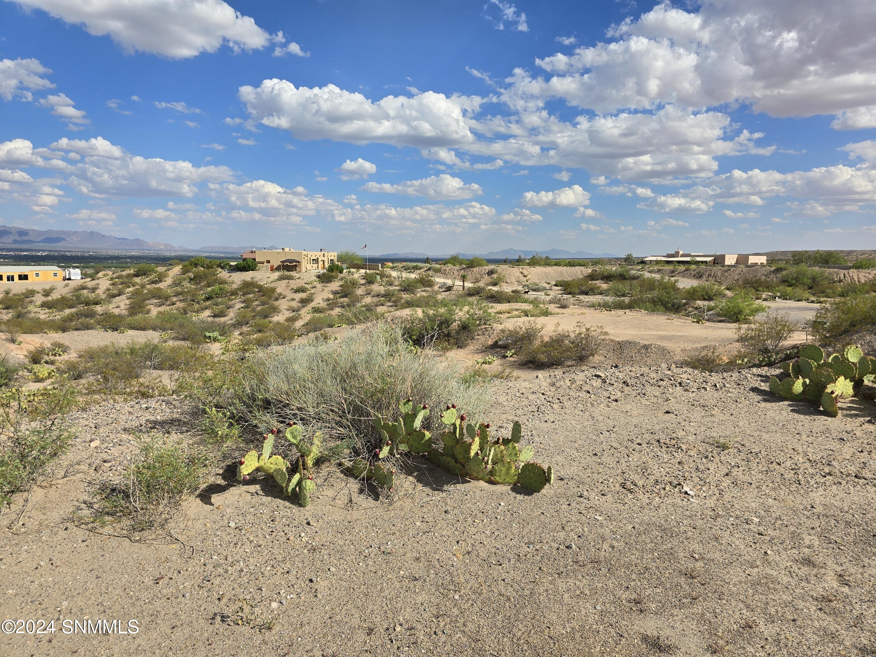 749 Lark Spur Way, Las Cruces, New Mexico image 5