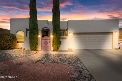 Homes For Sale - 4865 Camino Dos Vidas<br/> Dona Ana County, Las Cruces, NM 88012