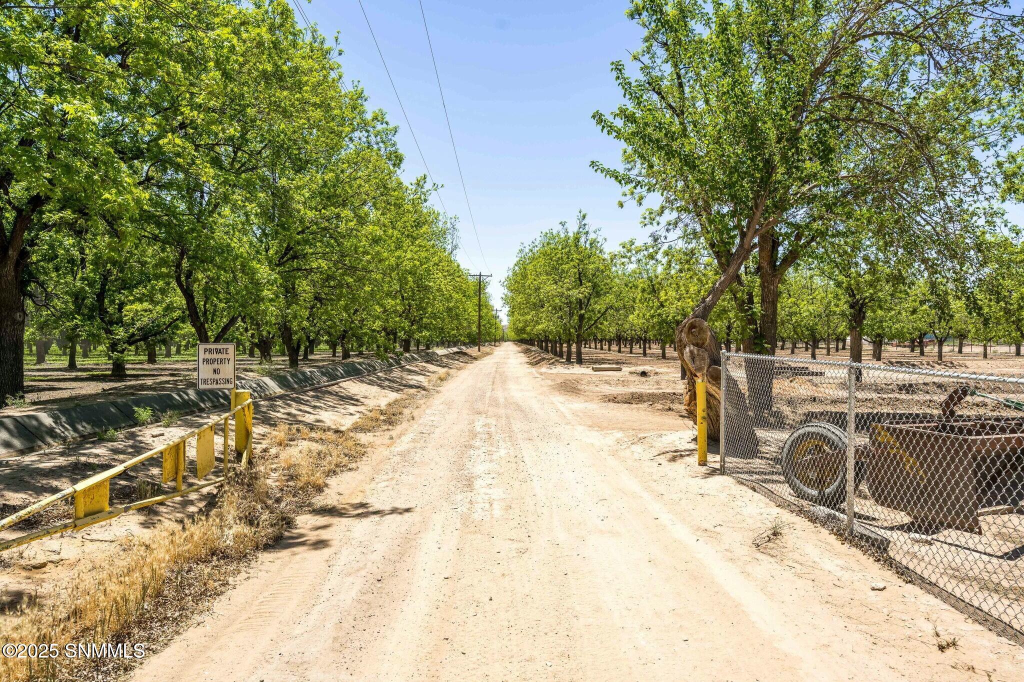 TBD Snow Road, Las Cruces, New Mexico image 8