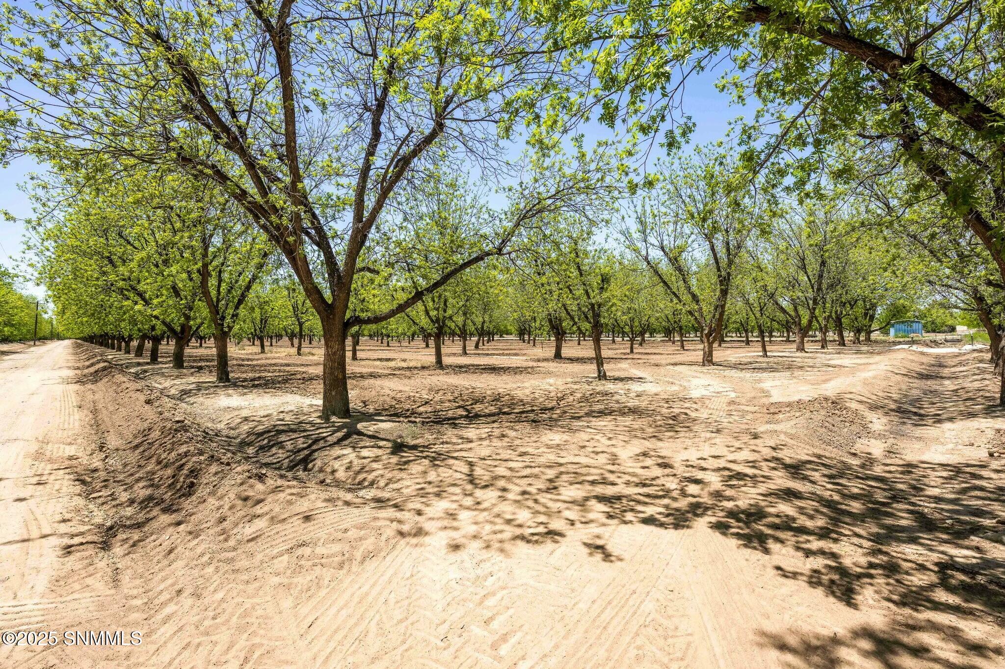 TBD Snow Road, Las Cruces, New Mexico image 9