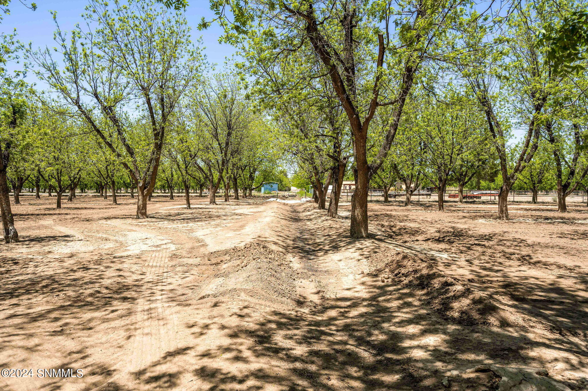 3012 Snow Road, Las Cruces, New Mexico image 12