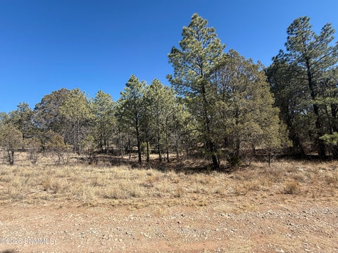 Vacant Land For Sale - TBD Eldrado Drive<br/> Otero County, Timberon, NM 88350