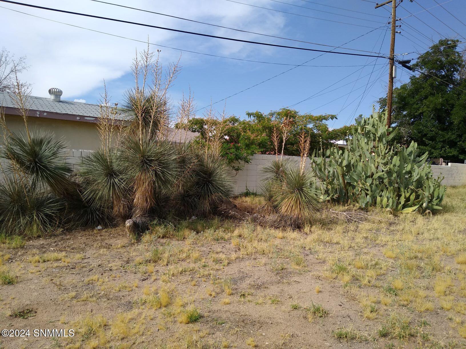 1809 Baldwin Drive, Las Cruces, New Mexico image 14