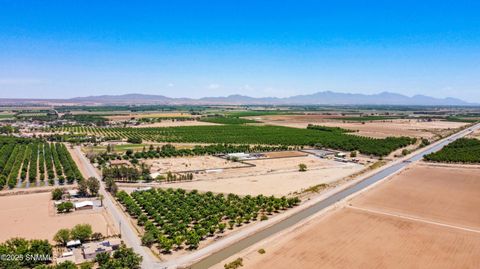 Vacant Land For Sale - 652 W San Miguel Street<br/> La Mesa, NM 88044