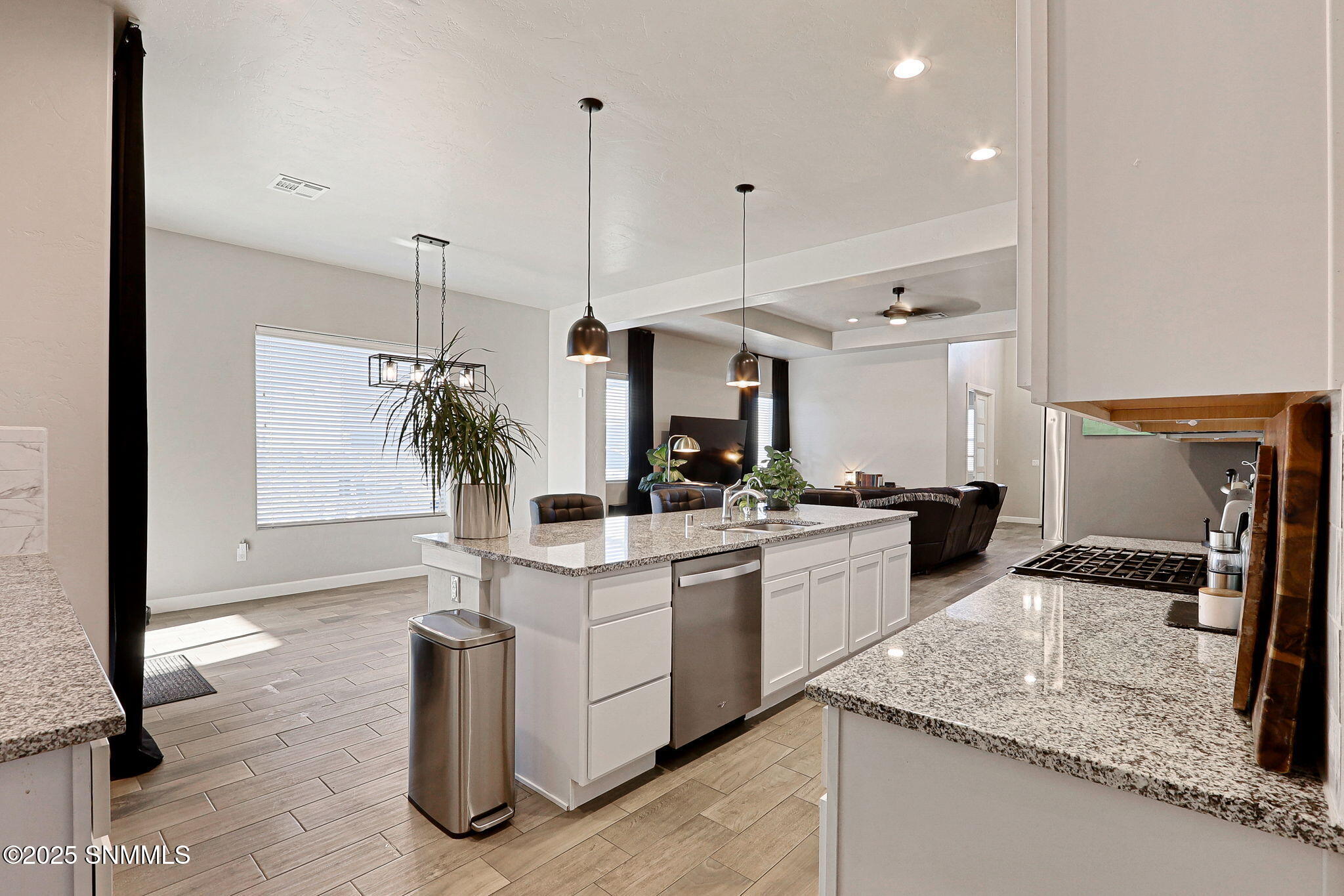 6119 Andromeda Loop, Las Cruces, New Mexico image 12