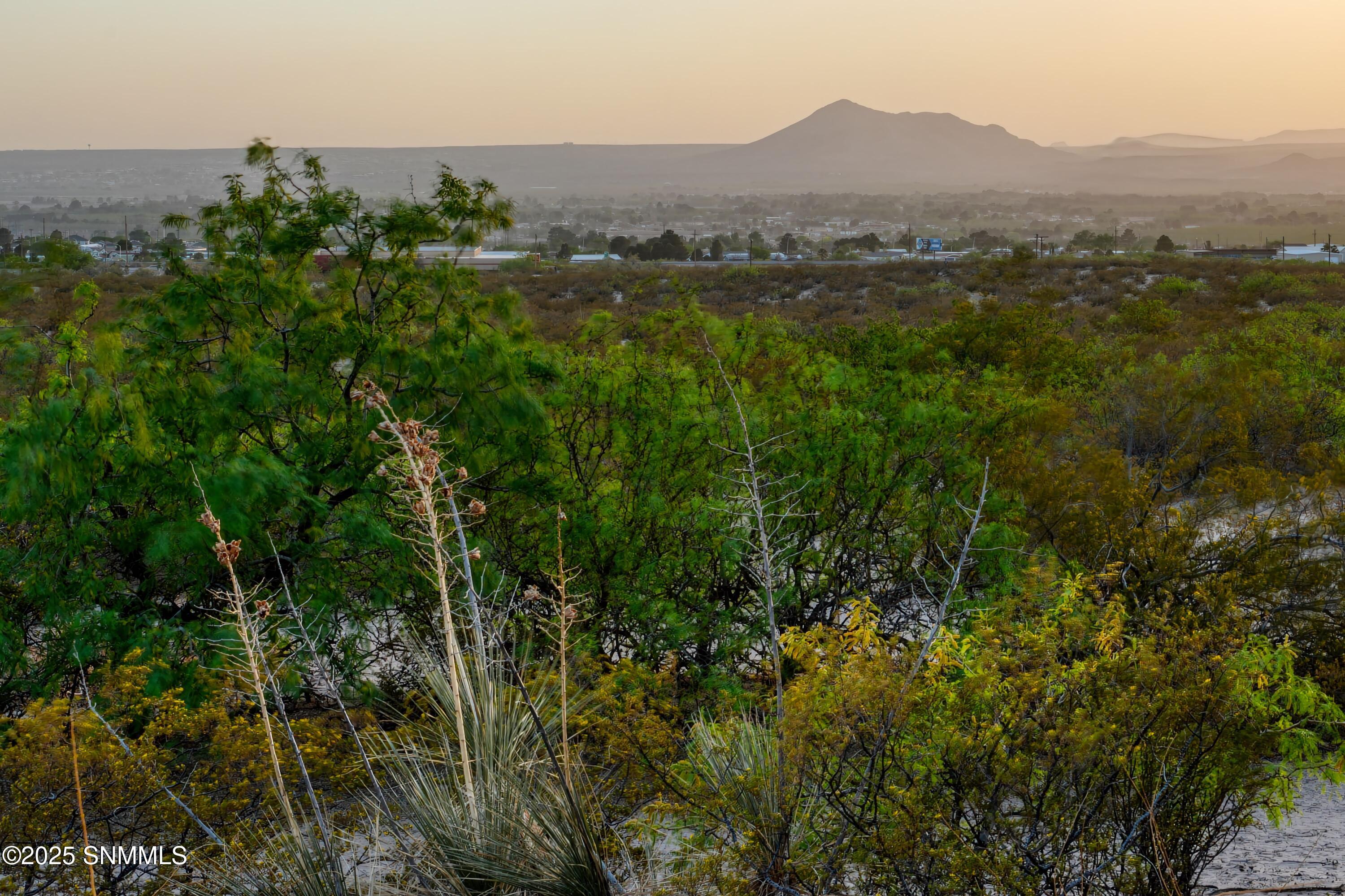 2228 Stone Pine Drive, Las Cruces, New York image 33