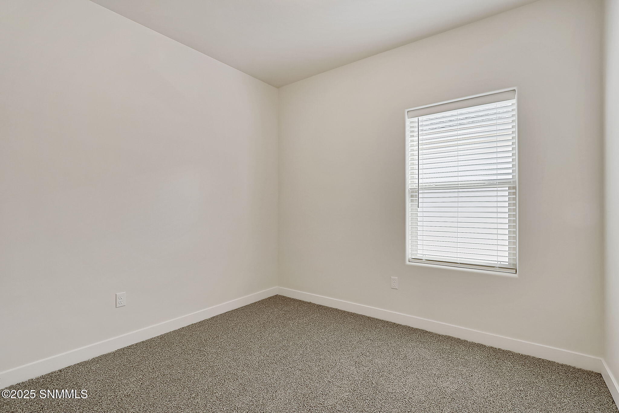3031 San Jenaro Drive, Las Cruces, New York image 22