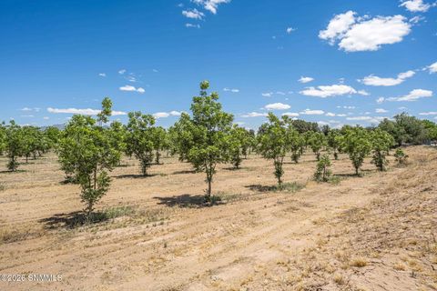Vacant Land For Sale - LOT 3 TBD Old River Road<br/> Dona Ana County, Las Cruces, NM 88005