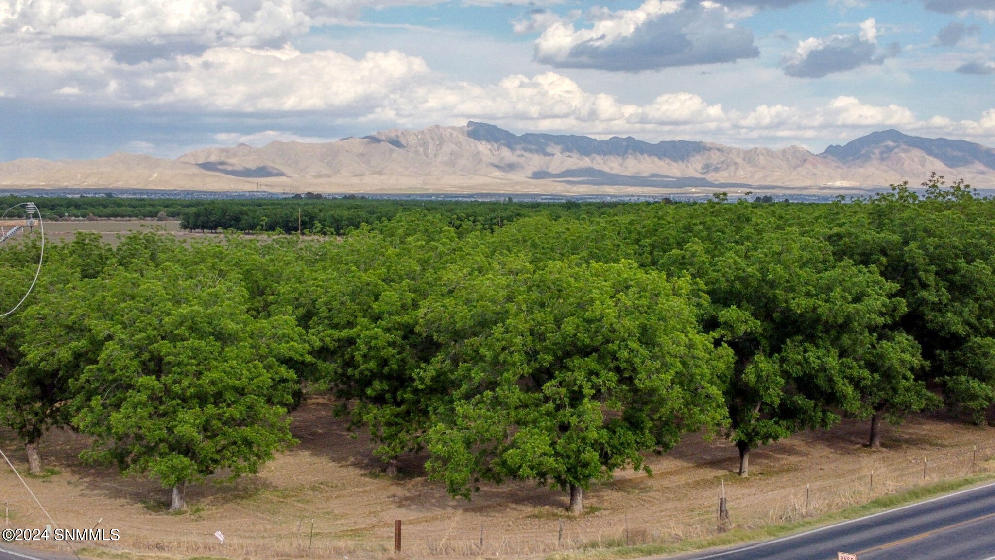 3035 W Ohara Road, Anthony, New Mexico image 13