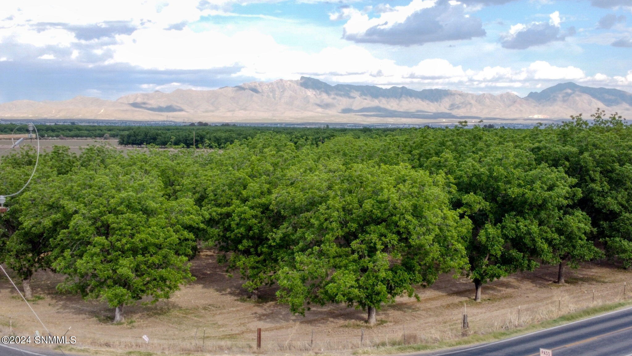 3035 W Ohara Road, Anthony, New Mexico image 31