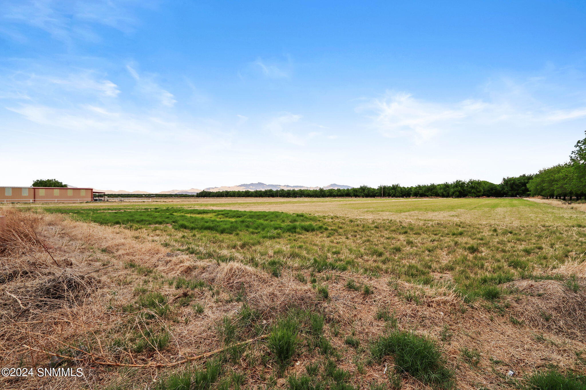 3035 W Ohara Road, Anthony, New Mexico image 23