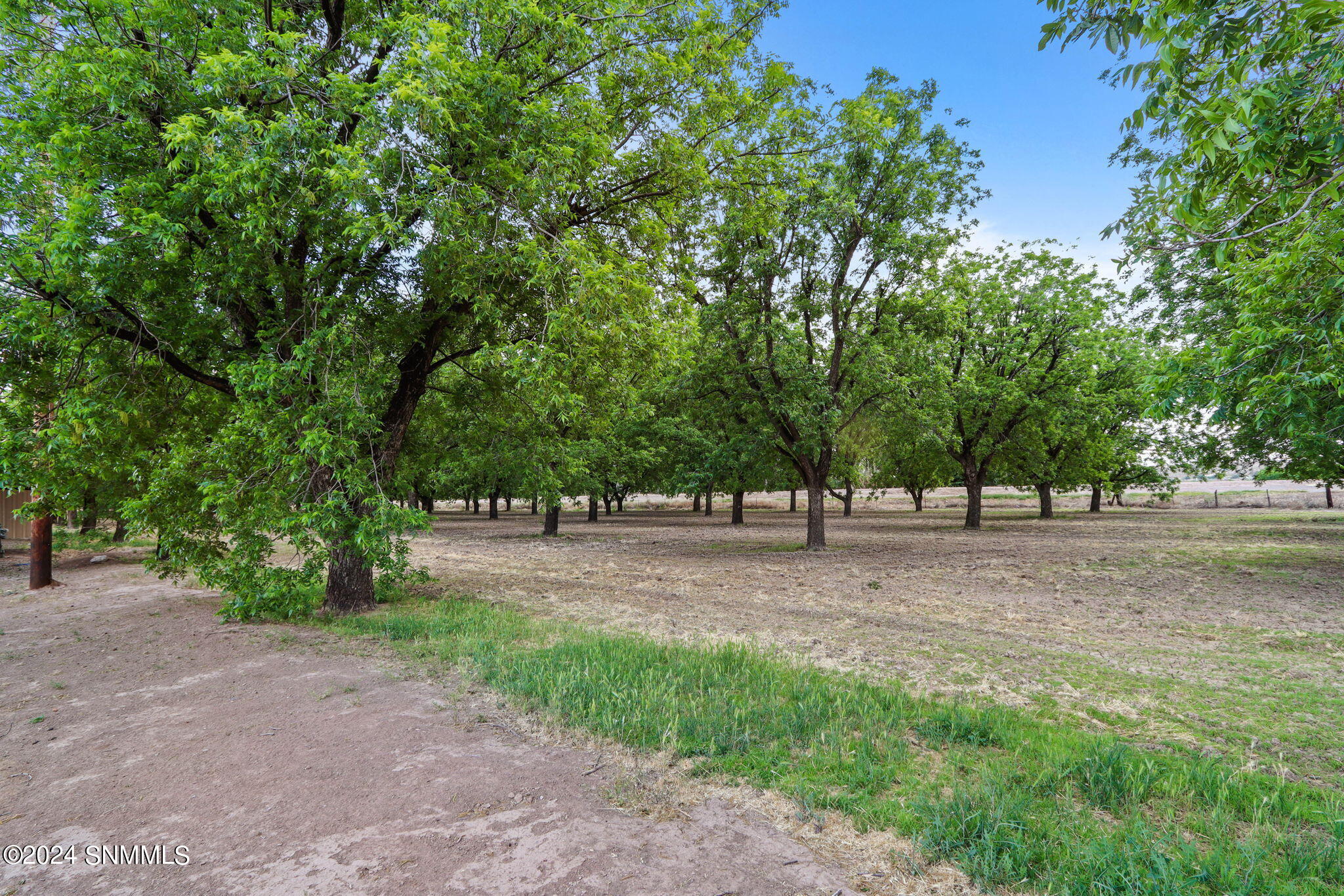 3035 W Ohara Road, Anthony, New Mexico image 14