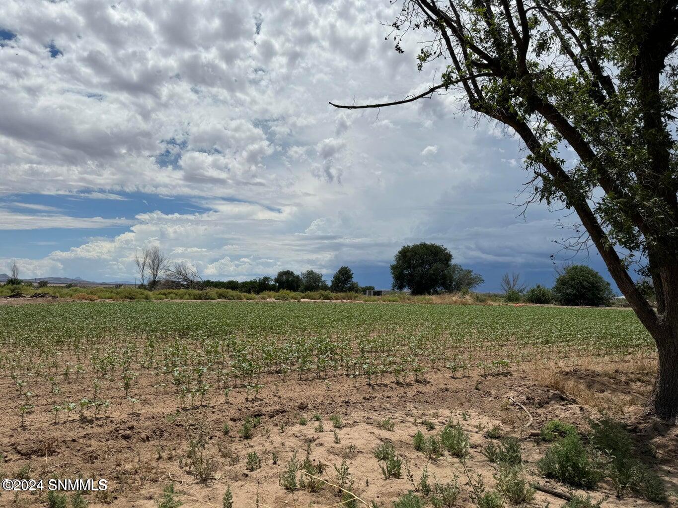 6415 Highway 187, Garfield, New Mexico image 2