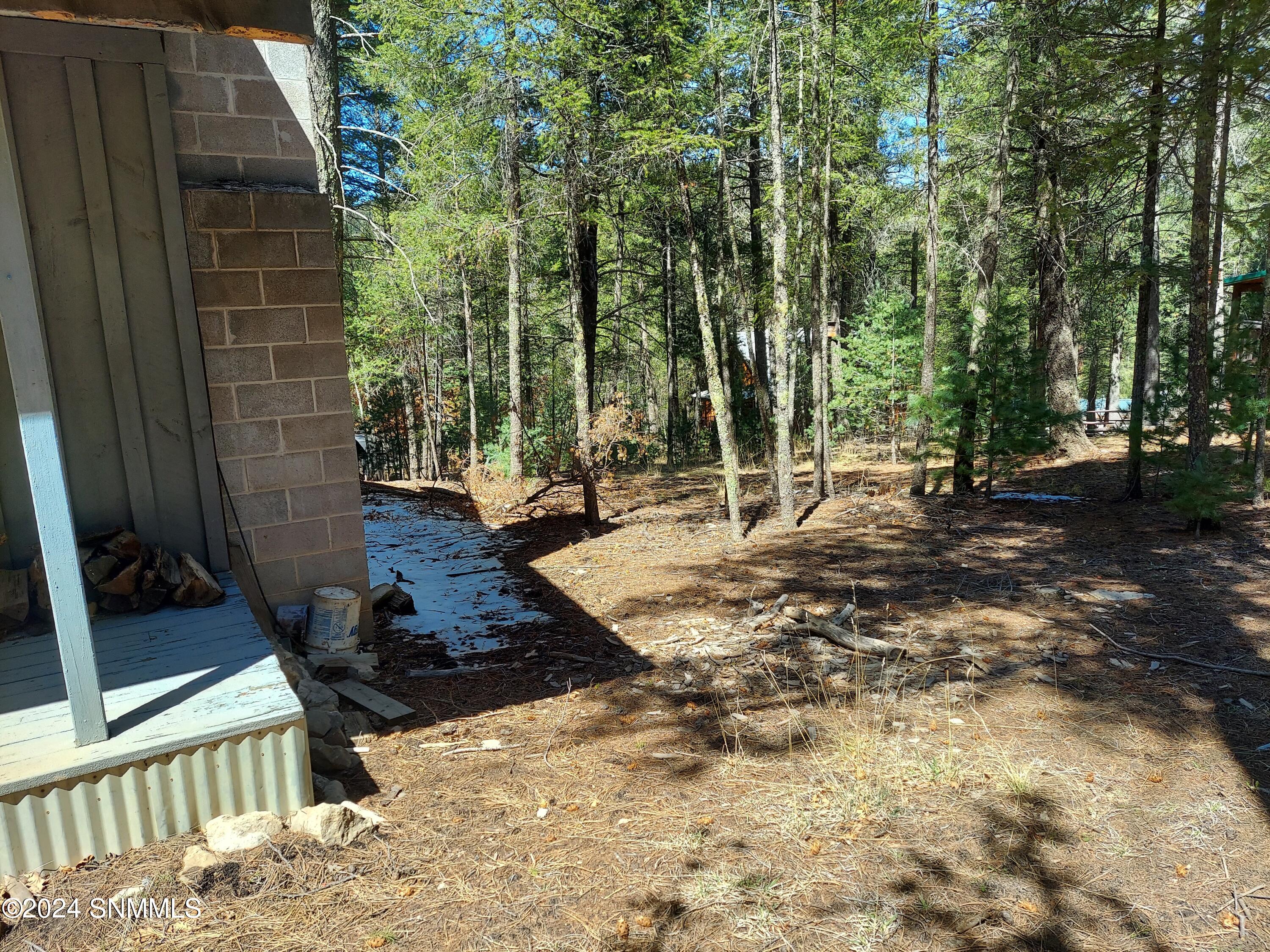 12 Deer Run Road, Cloudcroft, New Mexico image 11