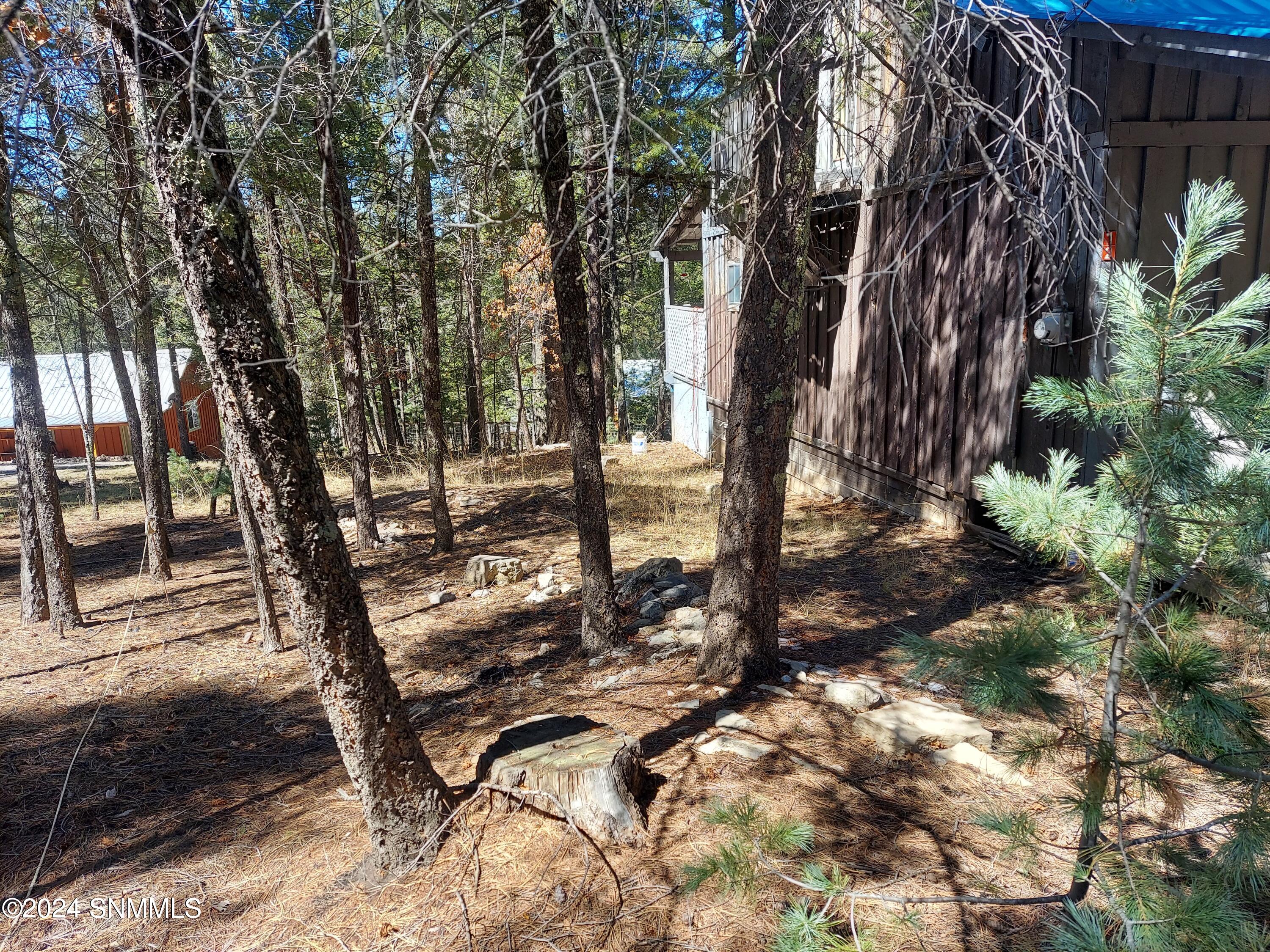 12 Deer Run Road, Cloudcroft, New Mexico image 12