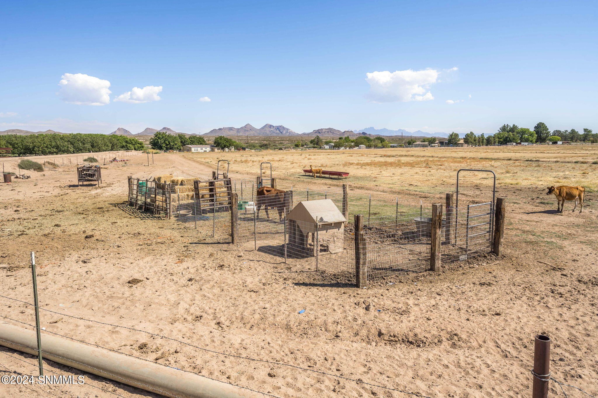 400 Cactus Patch Way, Las Cruces, New Mexico image 13