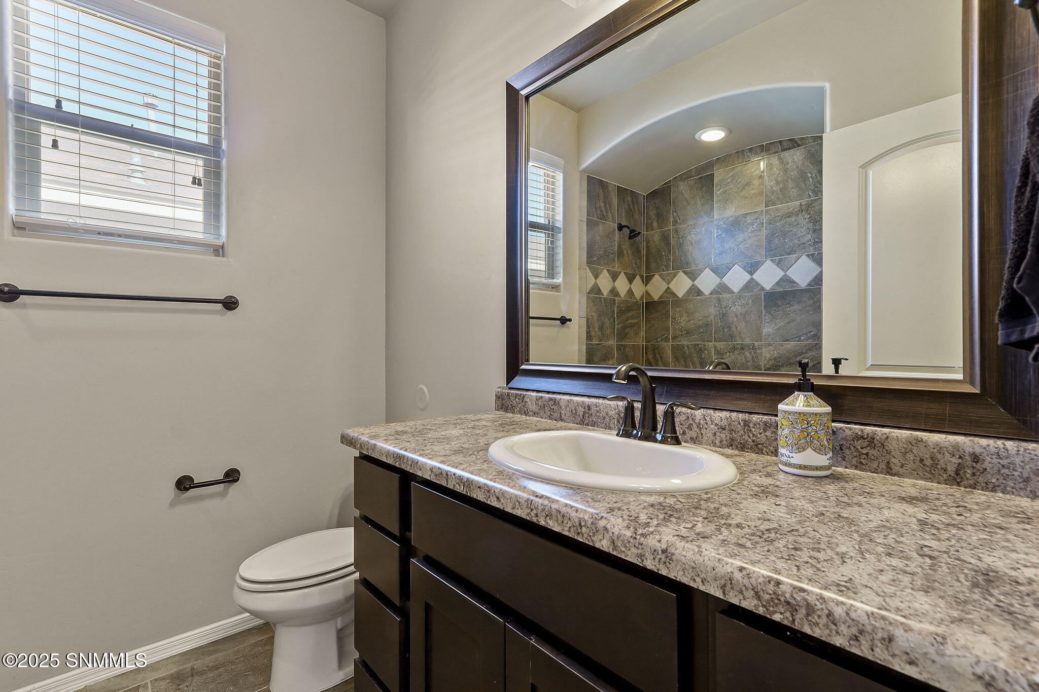869 Holly Park Avenue, Sunland Park, New Mexico image 27