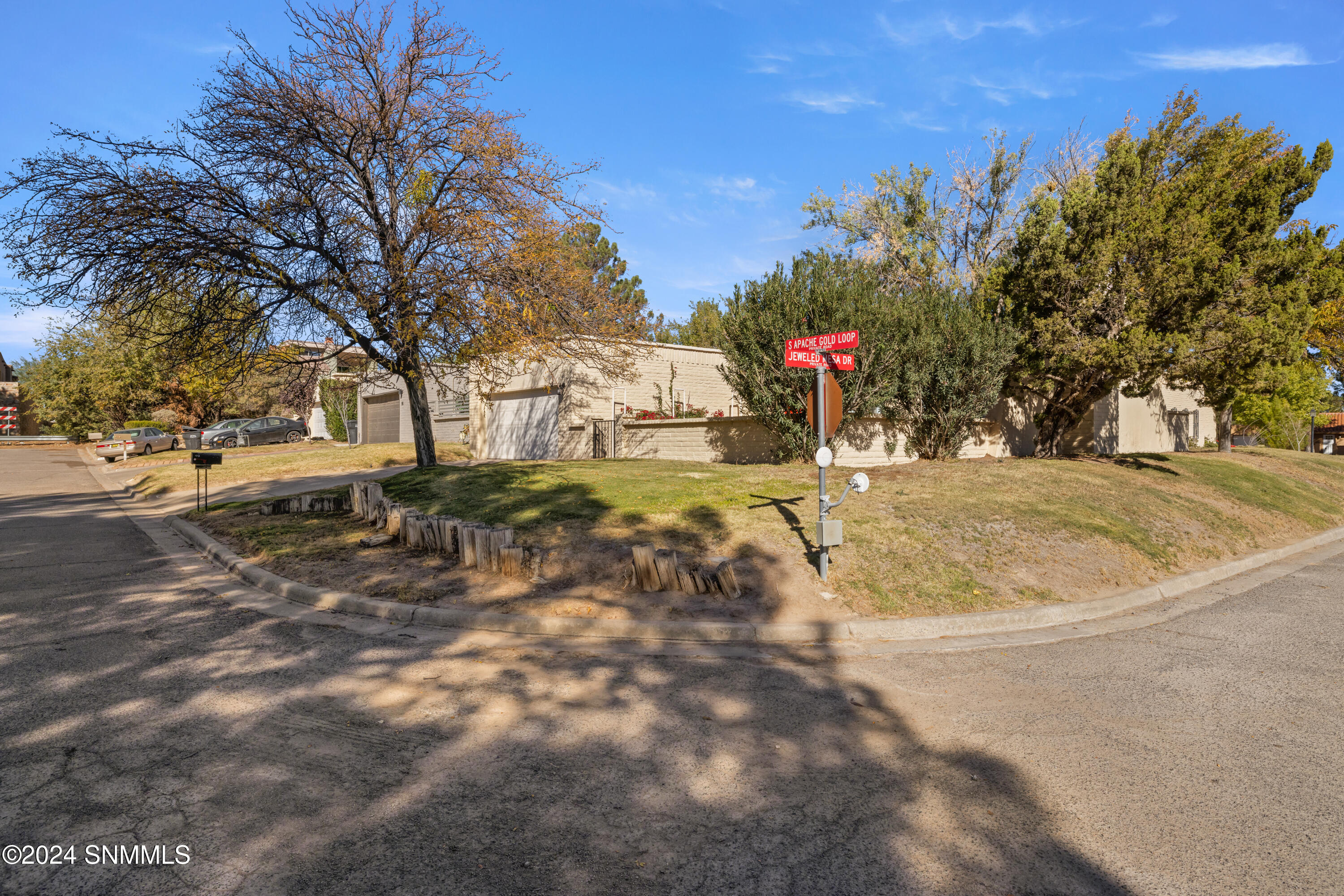 122 S Apache Gold Loop, Santa Teresa, New Mexico image 36