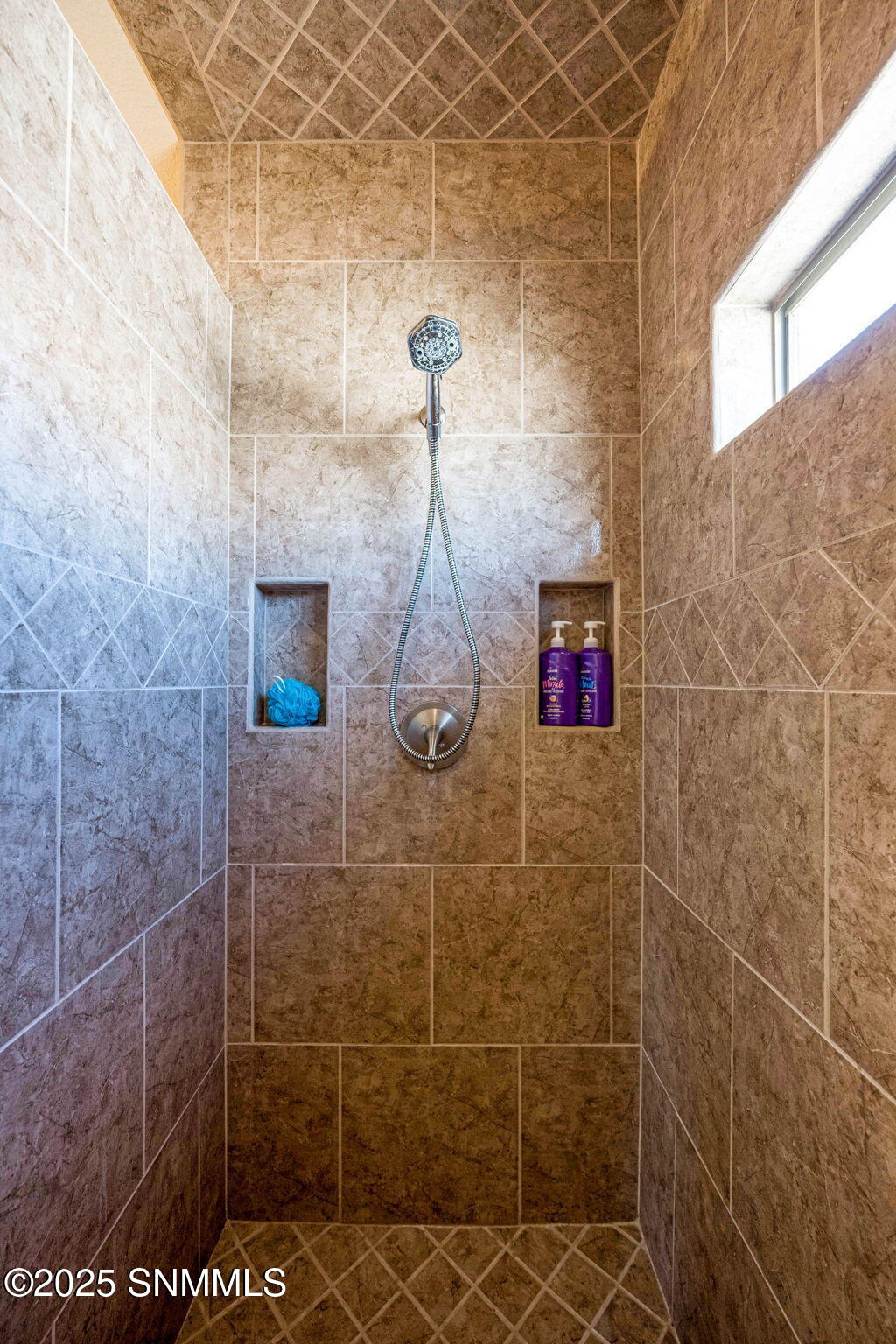 4068 Nemesh Drive, Las Cruces, New Mexico image 28