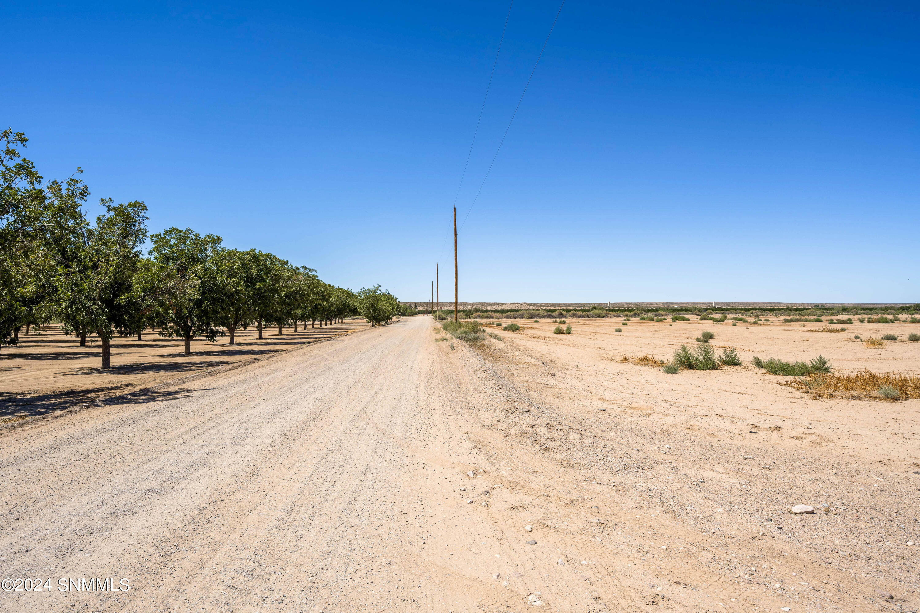 1200 Royce Road, La Mesa, New Mexico image 6