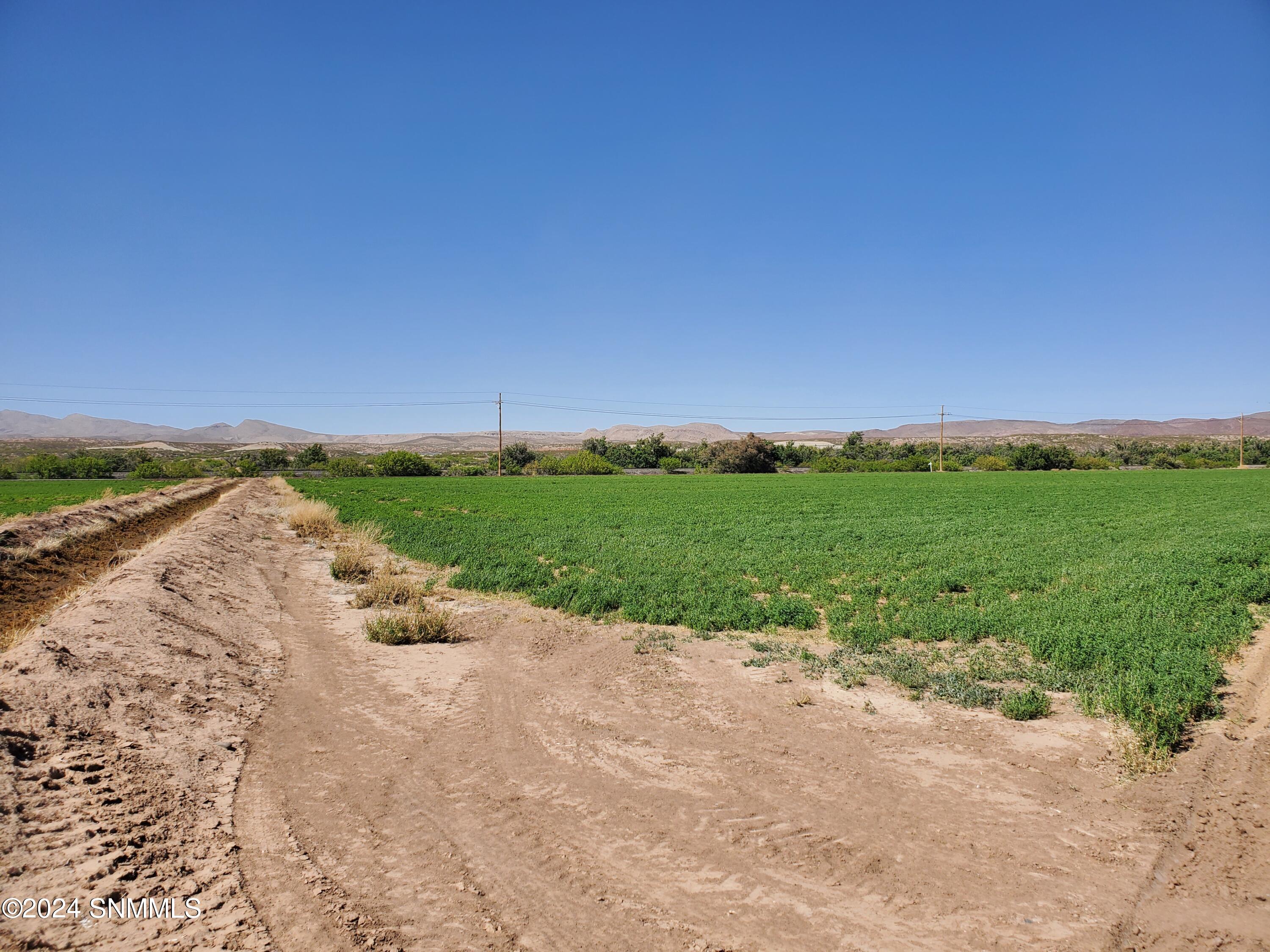 2806 Railroad Road, Rincon, New Mexico image 17