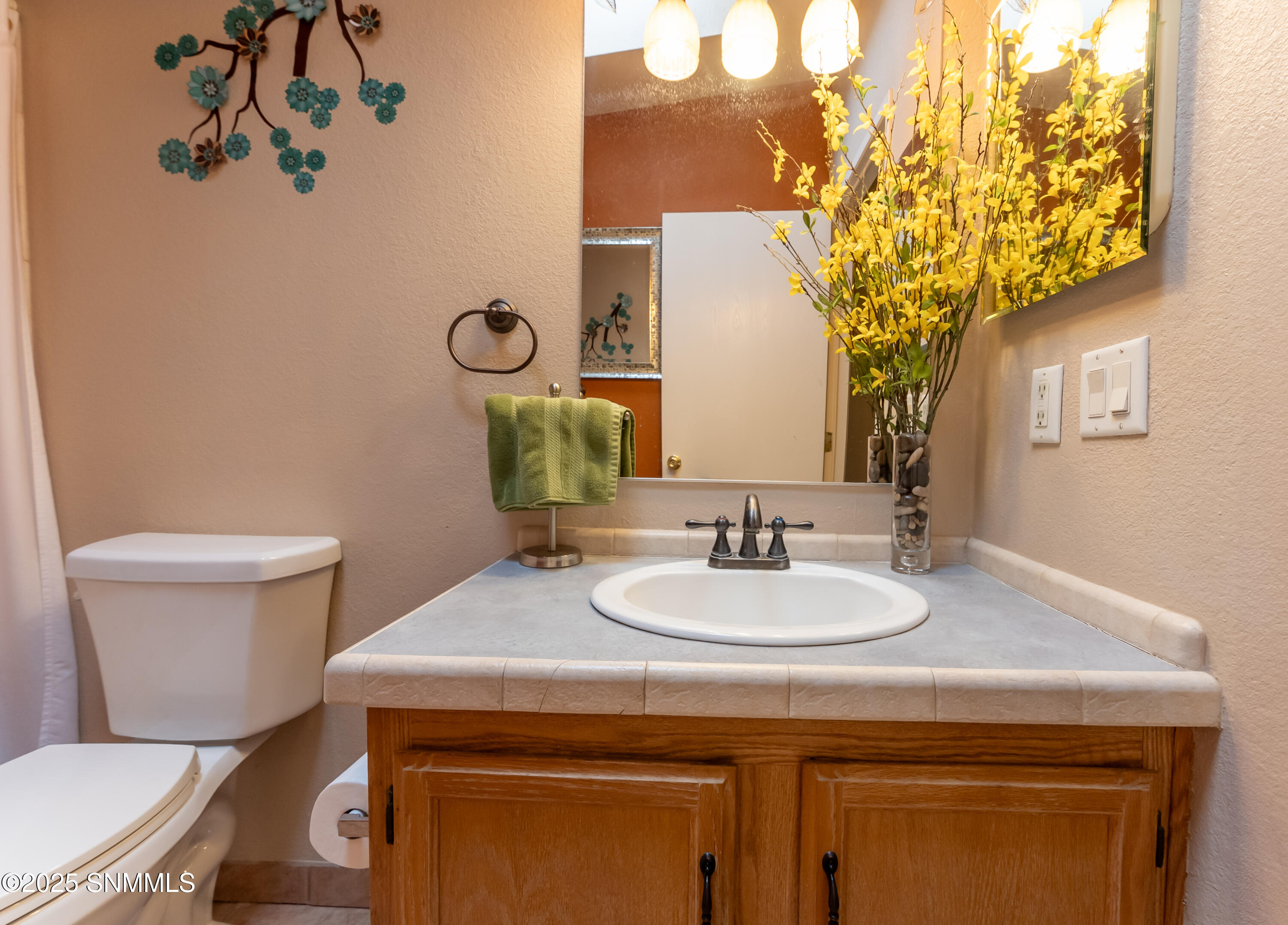7650 Cortez Drive, Las Cruces, New Mexico image 26