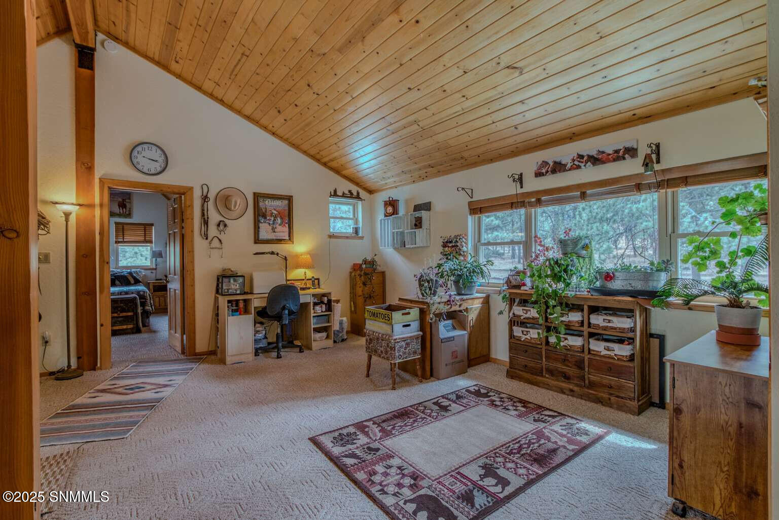 58 16 Springs Drive, Cloudcroft, New Mexico image 39