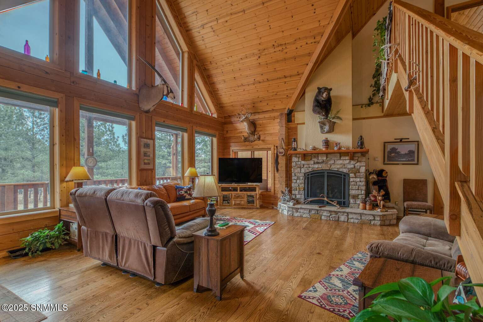 58 16 Springs Drive, Cloudcroft, New Mexico image 19