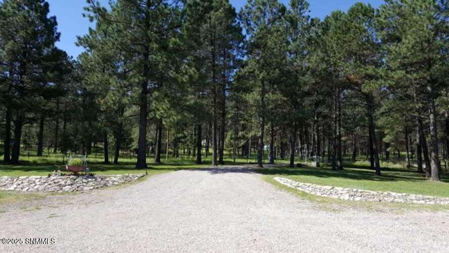 58 16 Springs Drive, Cloudcroft, New Mexico image 45