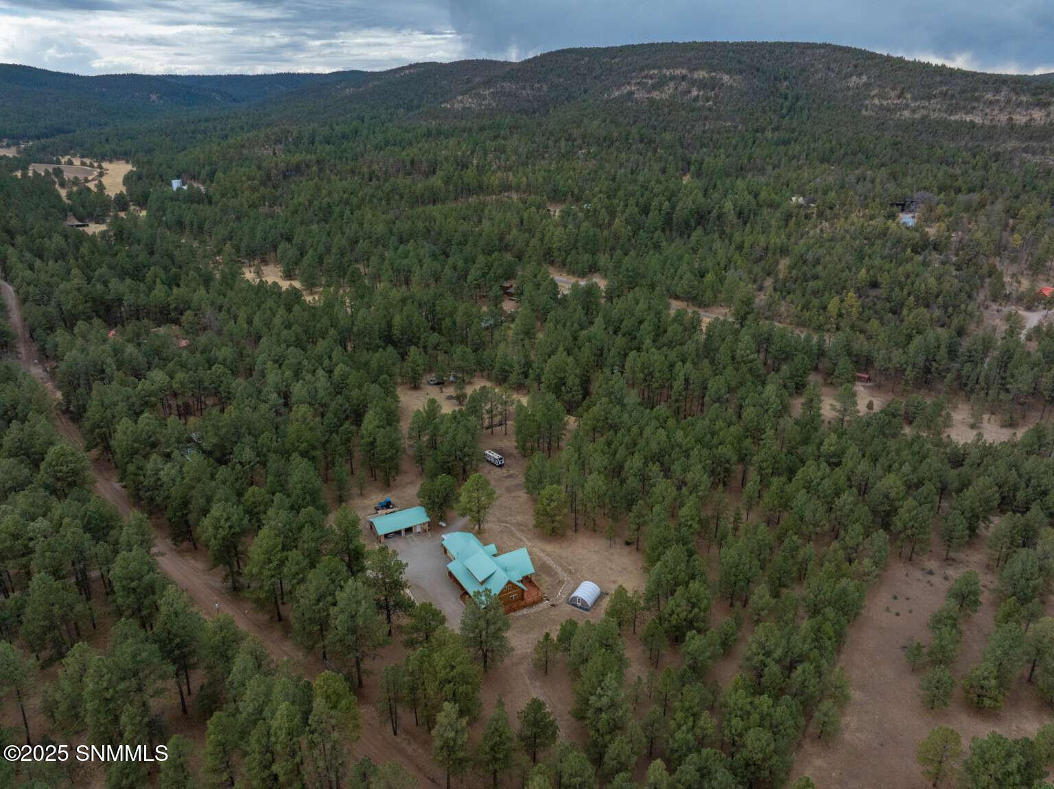 58 16 Springs Drive, Cloudcroft, New Mexico image 7