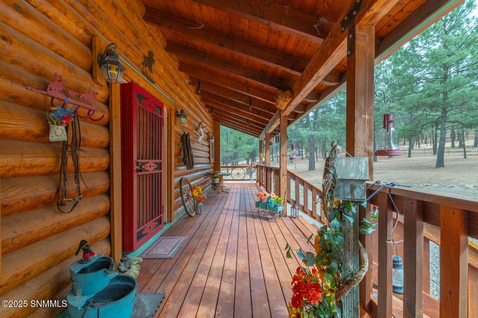 58 16 Springs Drive, Cloudcroft, New Mexico image 8