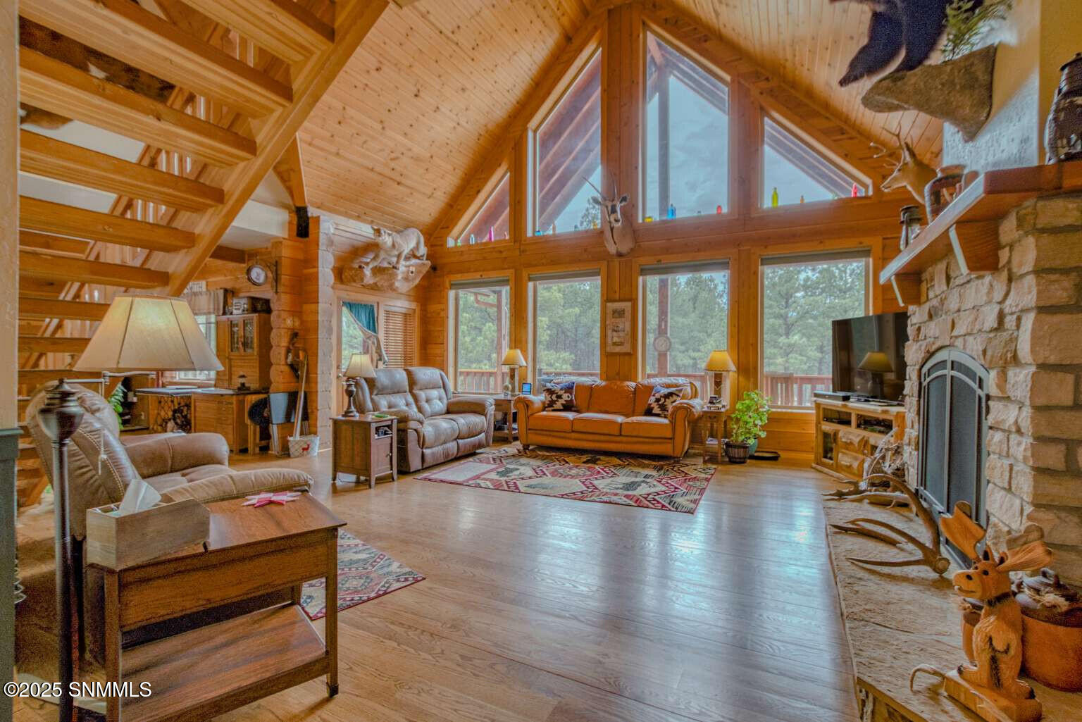 58 16 Springs Drive, Cloudcroft, New Mexico image 22