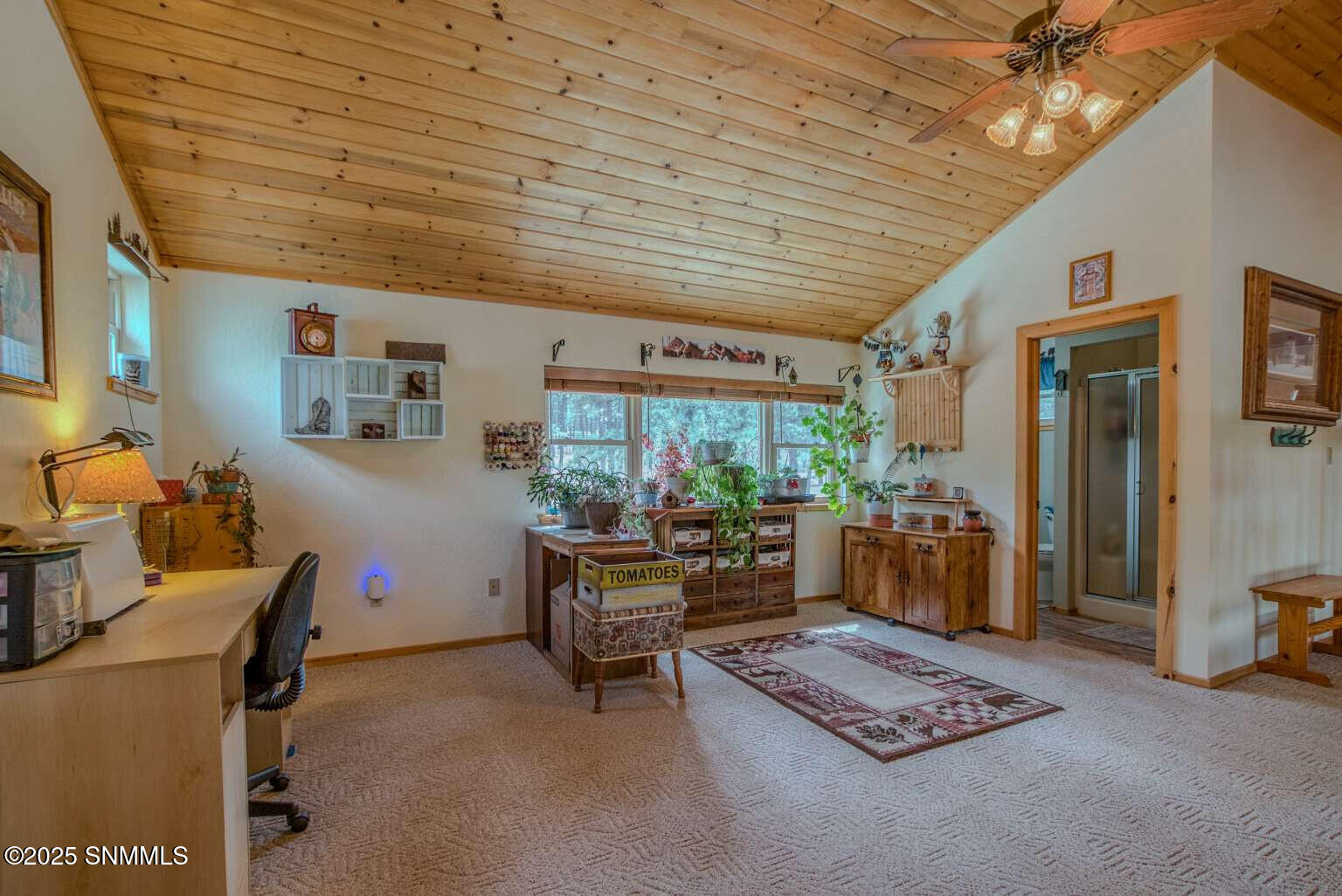 58 16 Springs Drive, Cloudcroft, New Mexico image 40