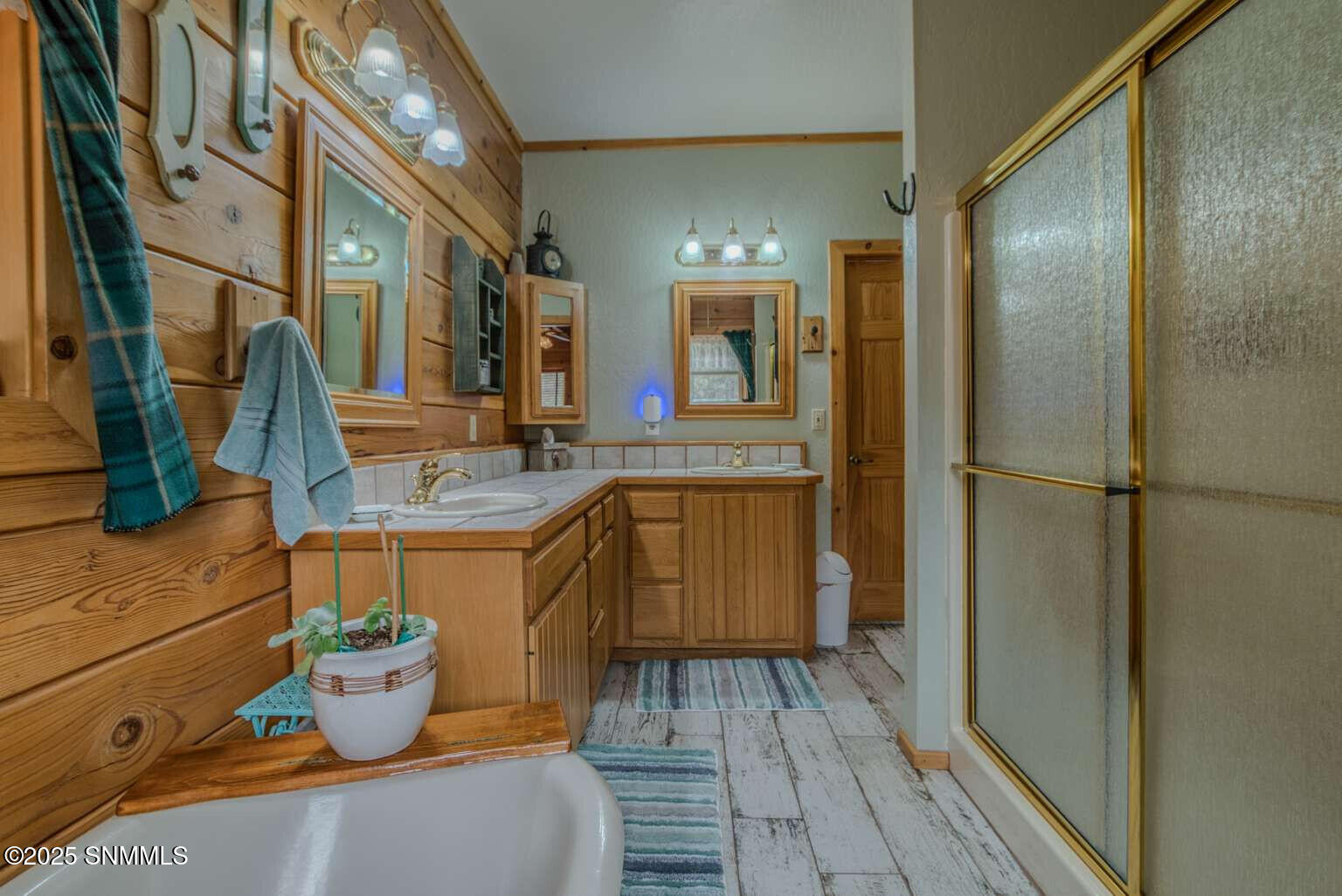 58 16 Springs Drive, Cloudcroft, New Mexico image 31