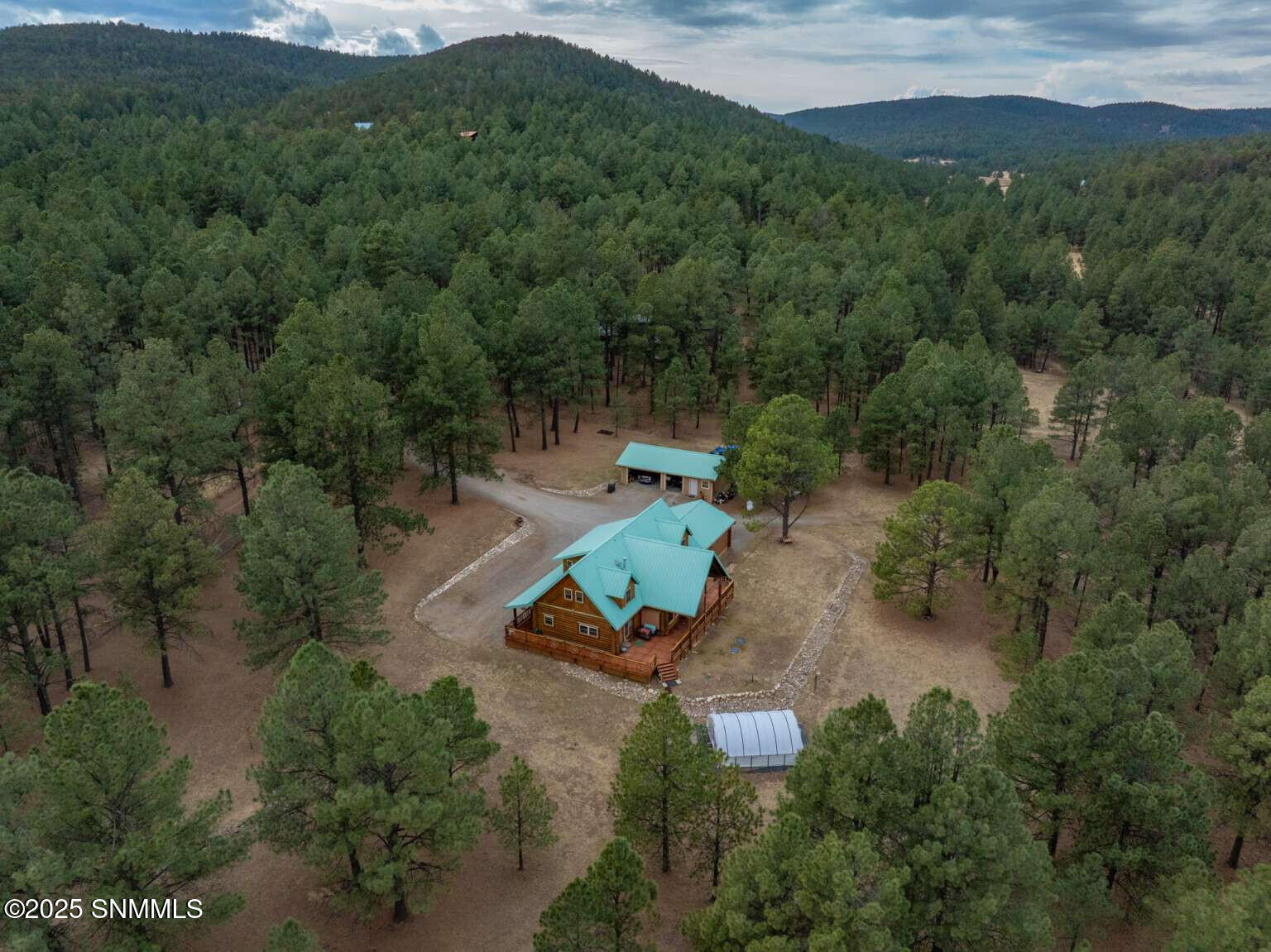 58 16 Springs Drive, Cloudcroft, New Mexico image 6