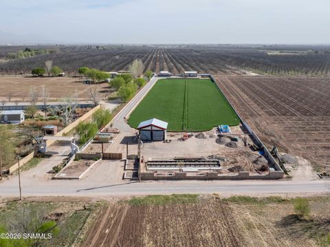 Vacant Land For Sale - 1405 Webb Road<br/> Anthony, NM 88021