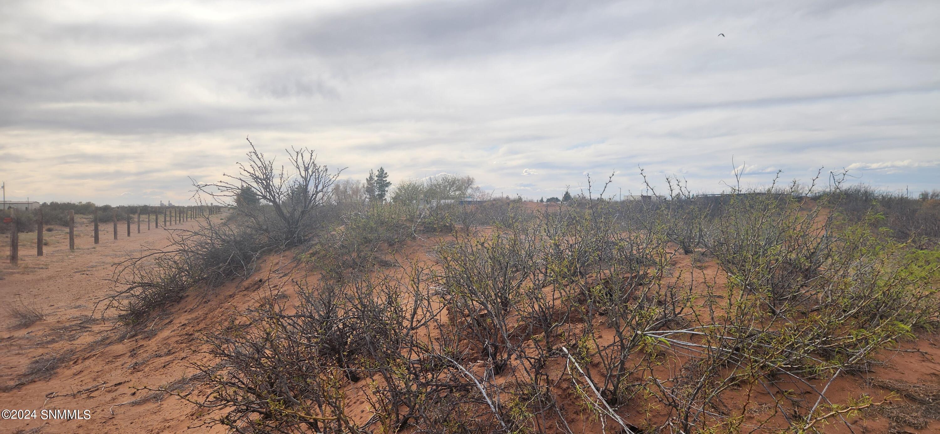 5297 NE Antelope Trail, Deming, New Mexico image 5