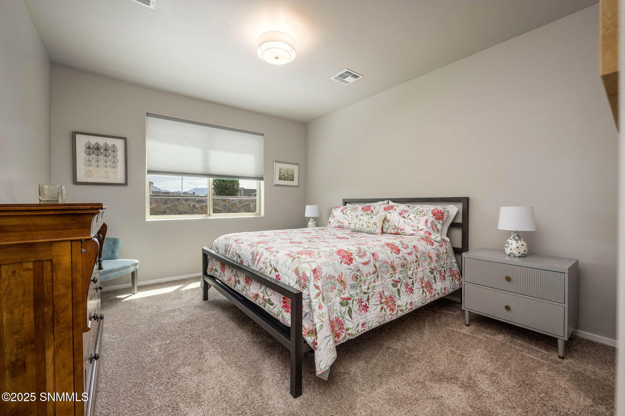 3735 Evening Light Court, Las Cruces, New Mexico image 18