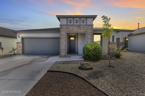 Homes For Sale - 4222 Desert Lily Drive<br/> Dona Ana County, Las Cruces, NM 88005