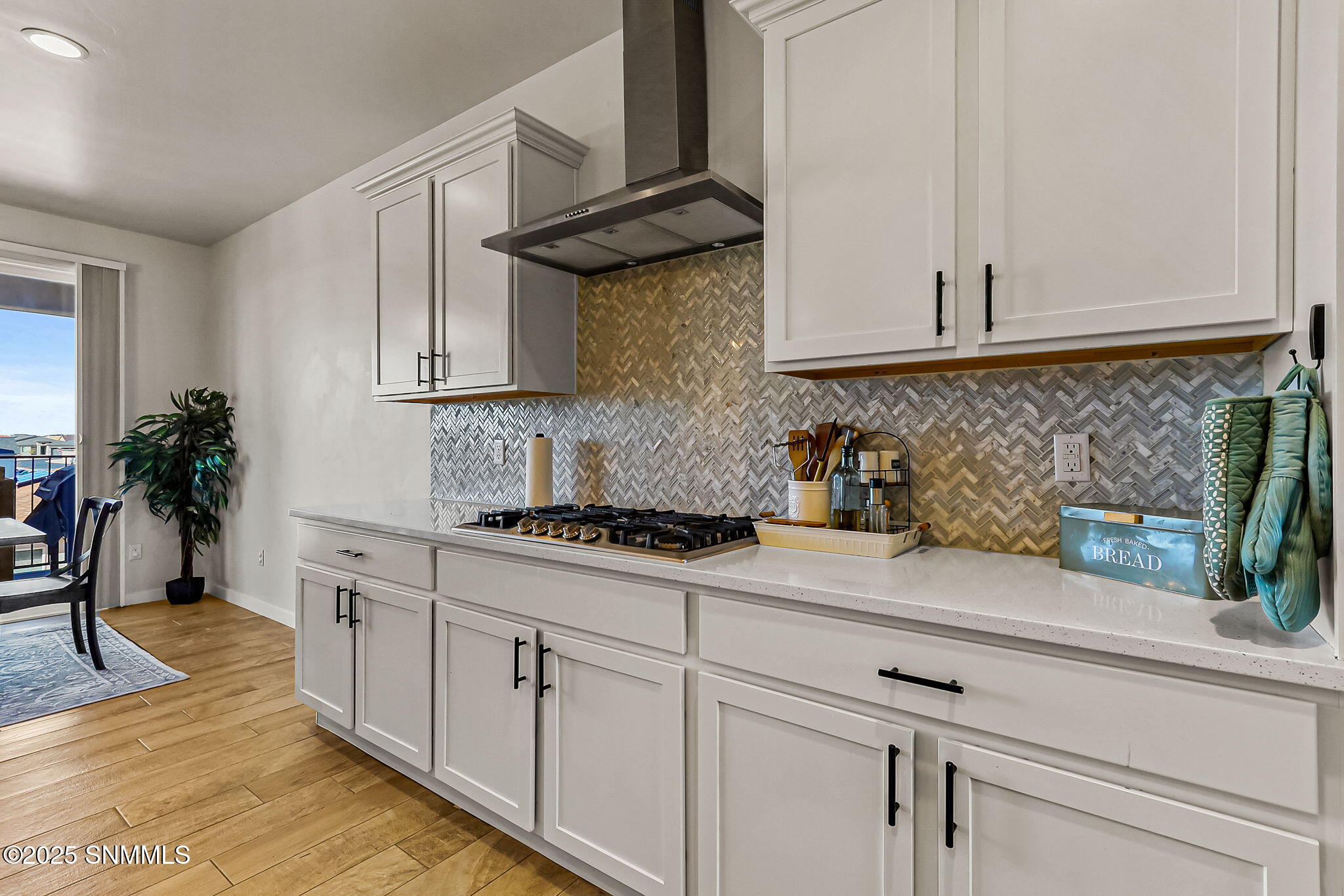 3964 Pacific Loop, Las Cruces, New Mexico image 6