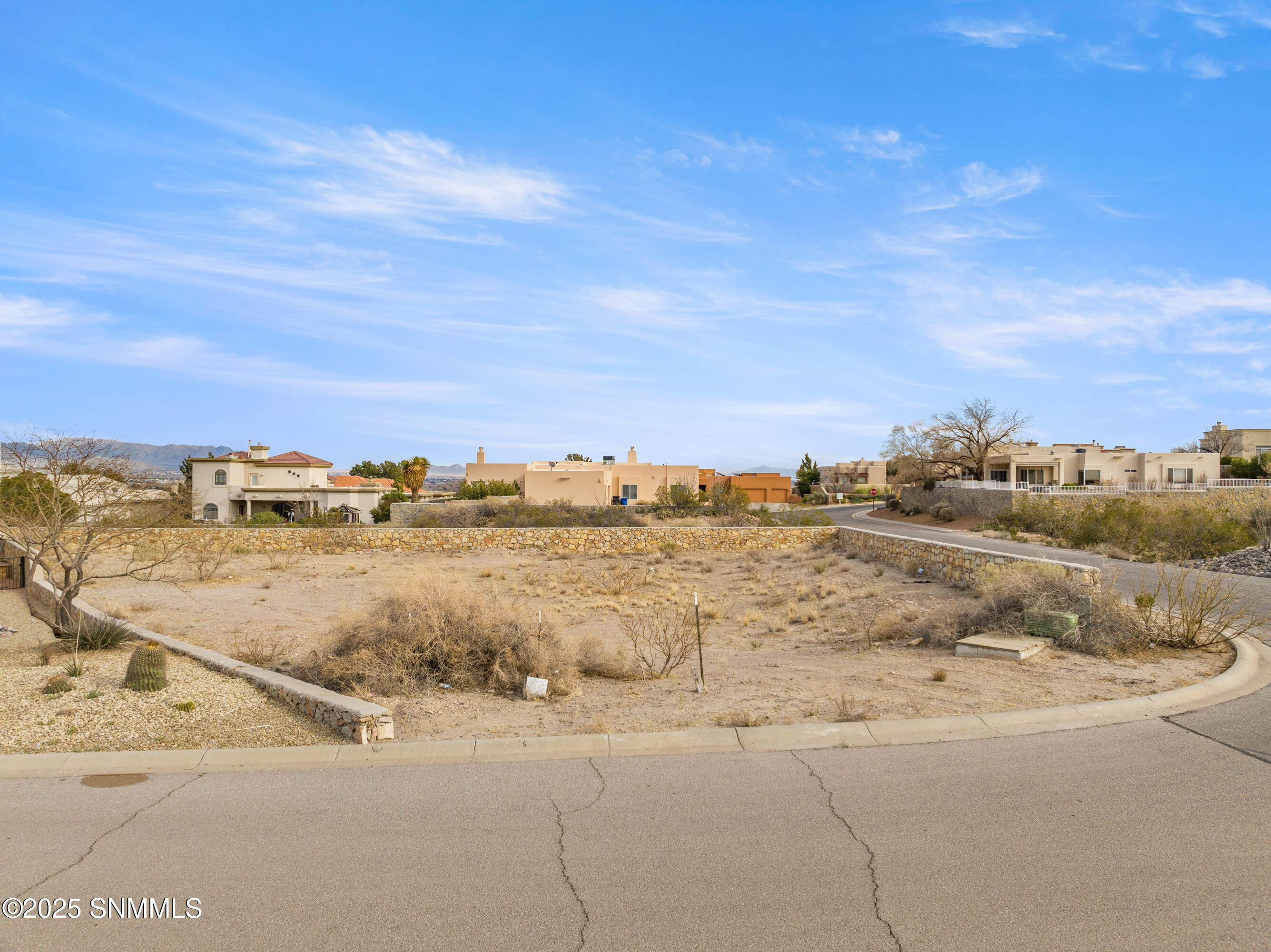 TBD Pissarro, Las Cruces, New Mexico image 7