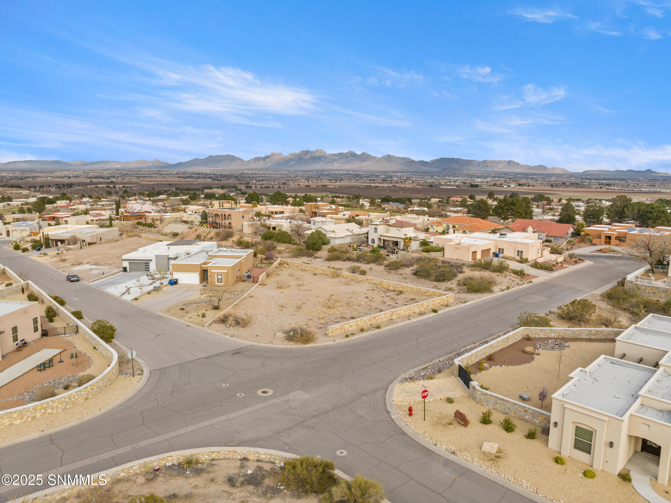 TBD Pissarro, Las Cruces, New Mexico image 11