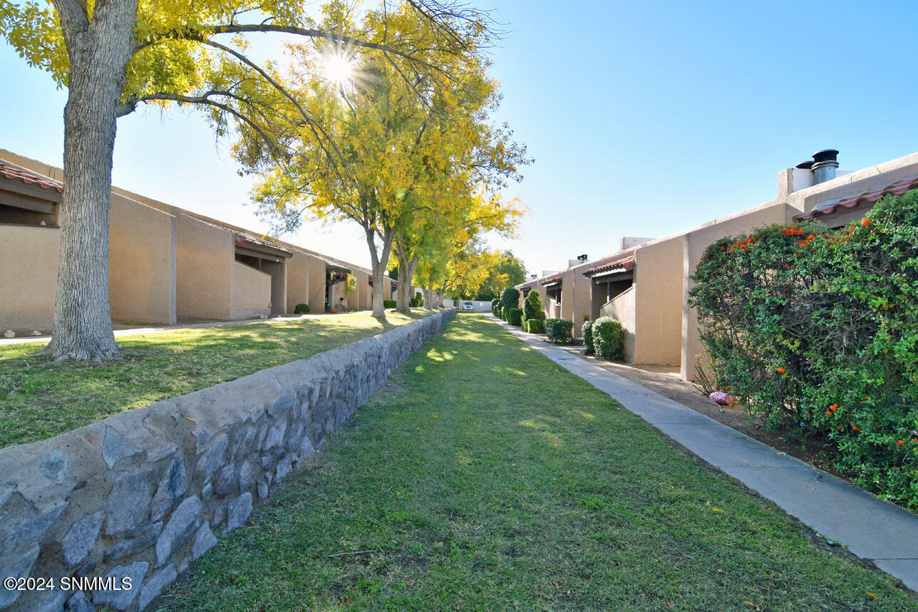 1345 E Branson Avenue #4B, Las Cruces, New Mexico image 3