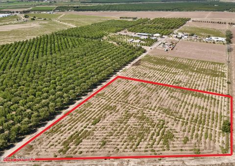 Vacant Land For Sale - 217 Sunshine Lane<br/> Mesquite, NM 88048